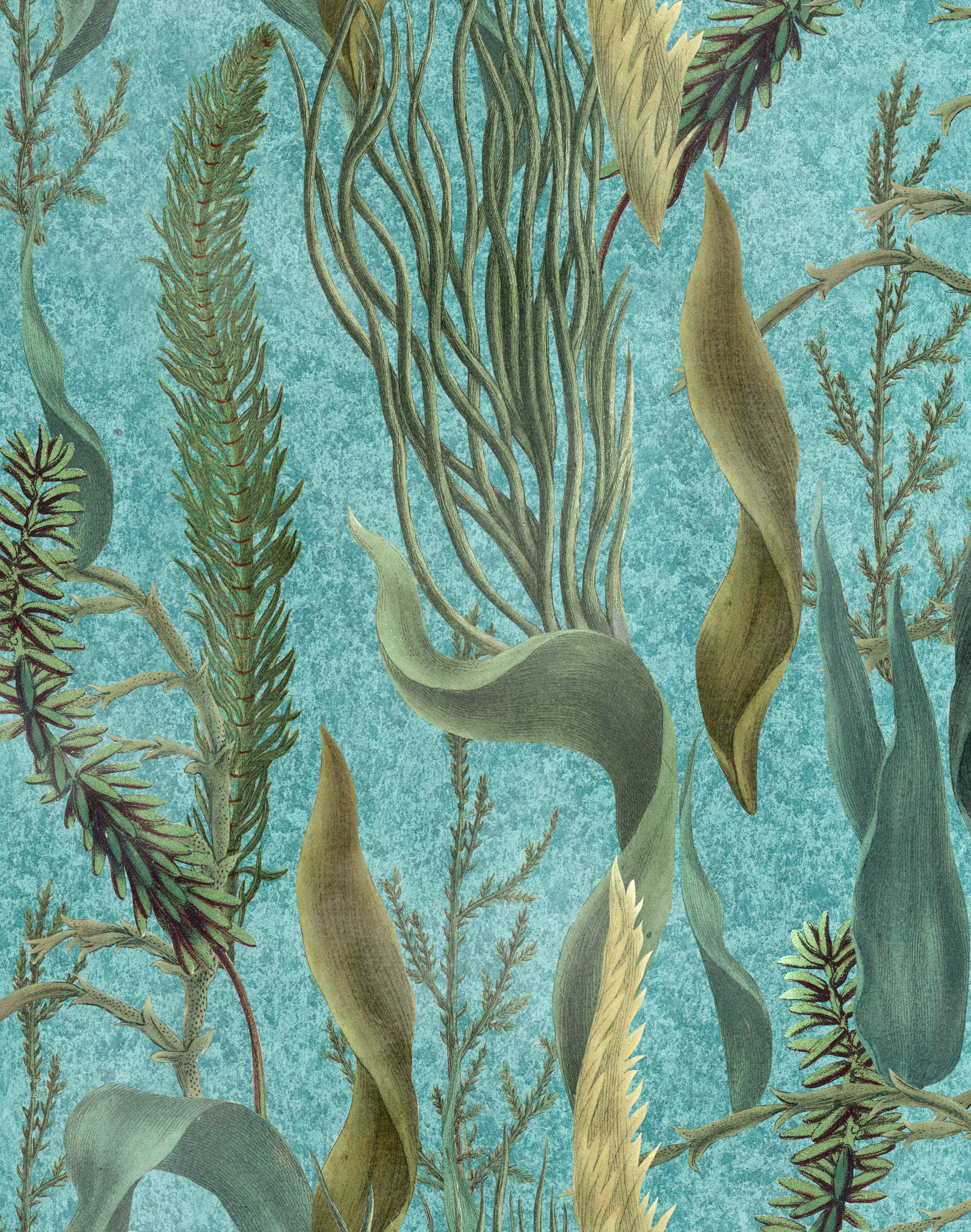 Aquatic Plants, Aquamarine