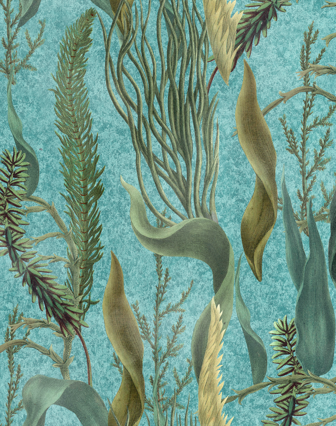 Aquatic Plants, Aquamarine