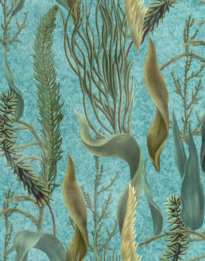 Aquatic Plants, Aquamarine