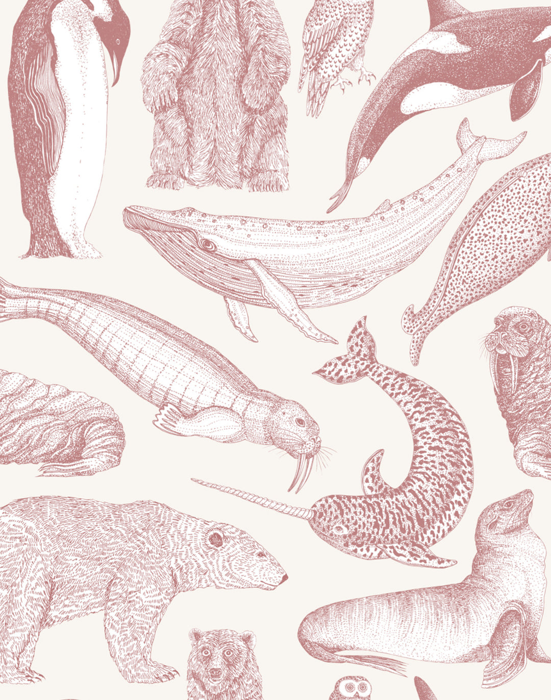 Arctic Animals MAC048