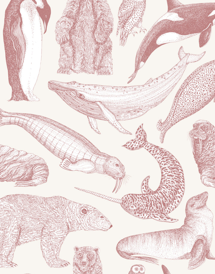 Arctic Animals MAC048