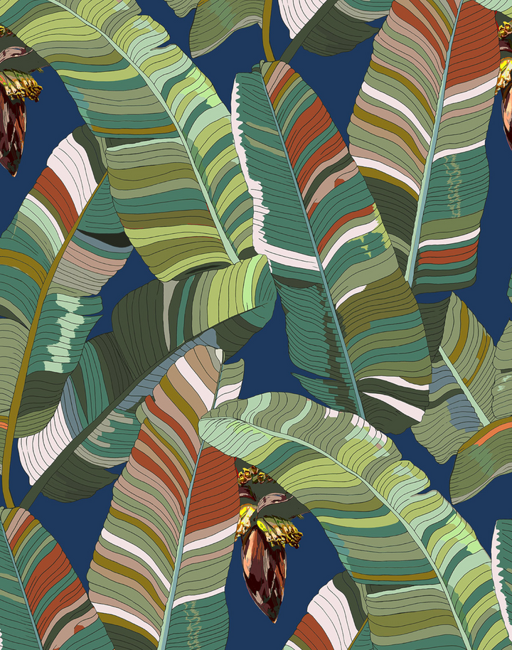 Banana Palm Dream, Bahama Mama