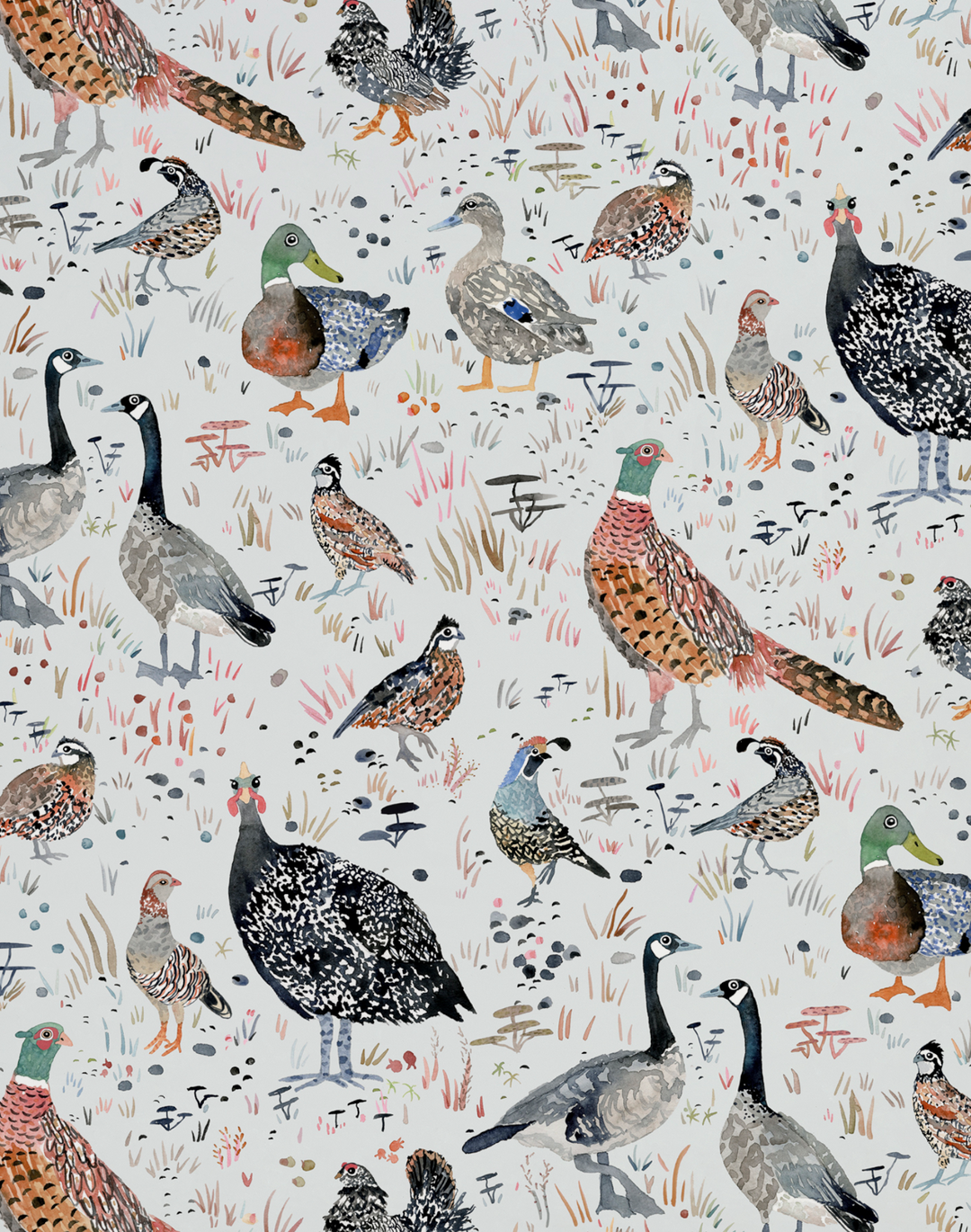 Bird Season, Gris