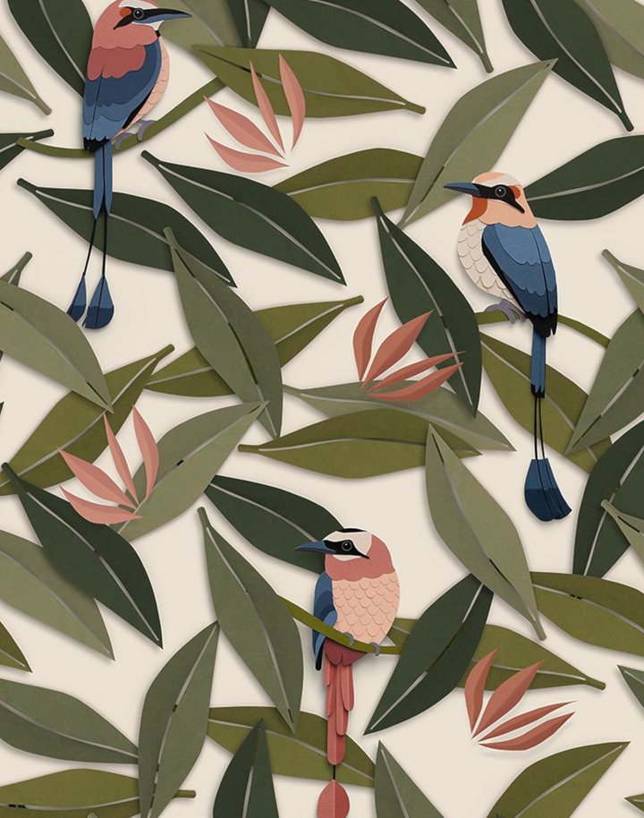Birds, Cream