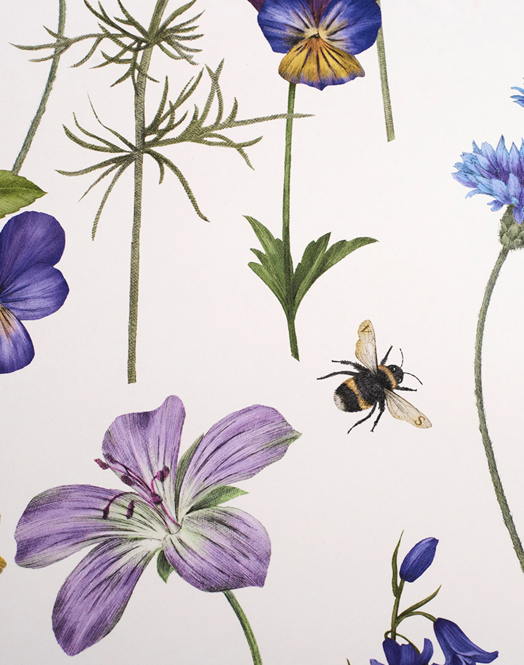 Botanica, Chalk