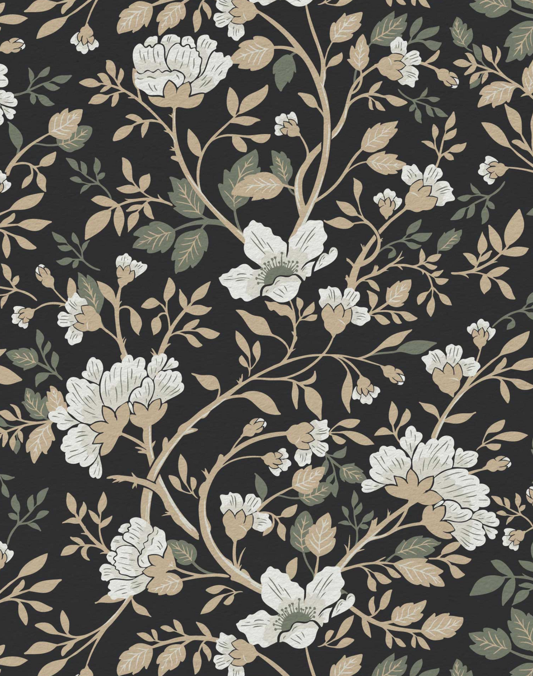 Camelia Study, Midnight Rose
