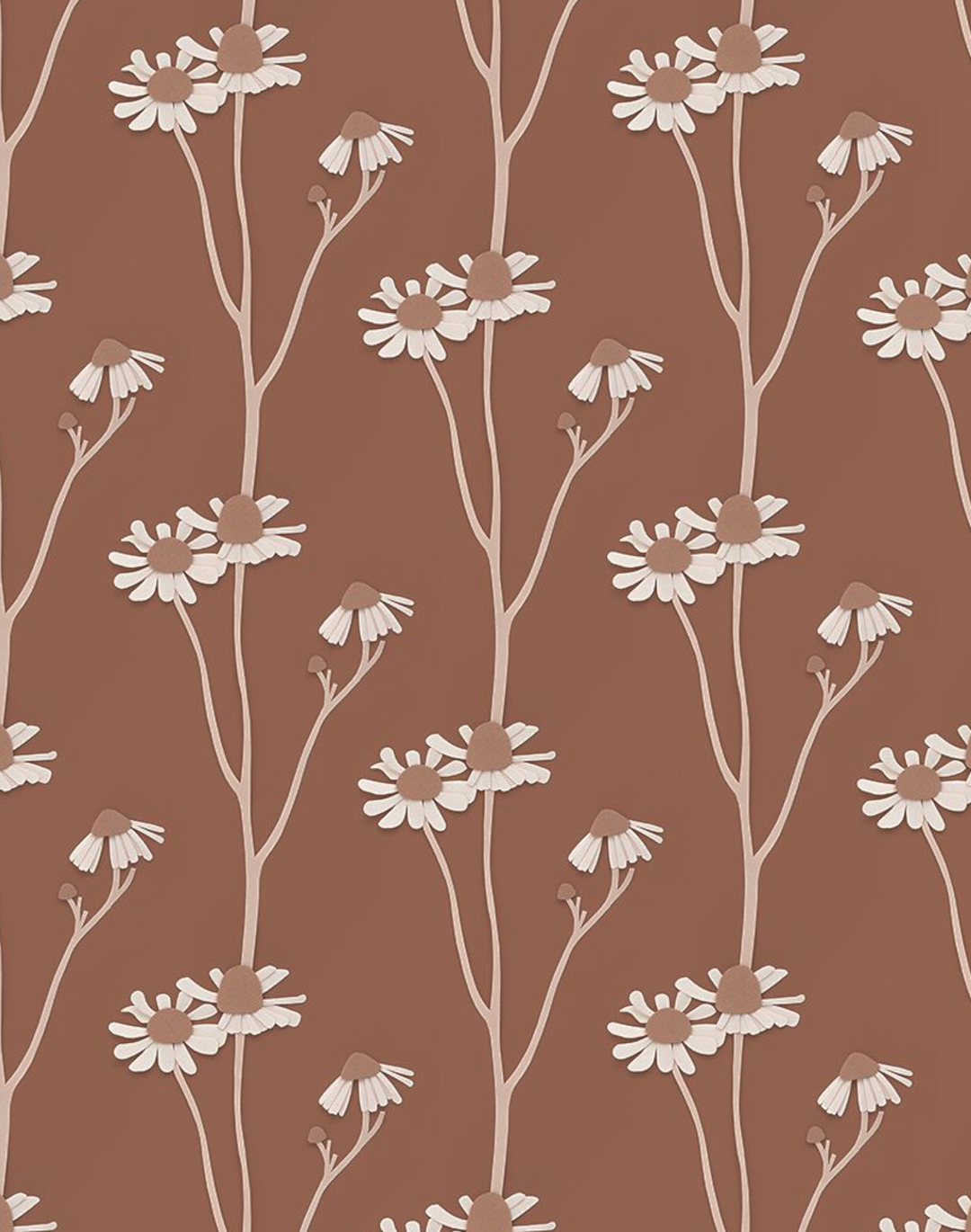 Chamomile, Brown
