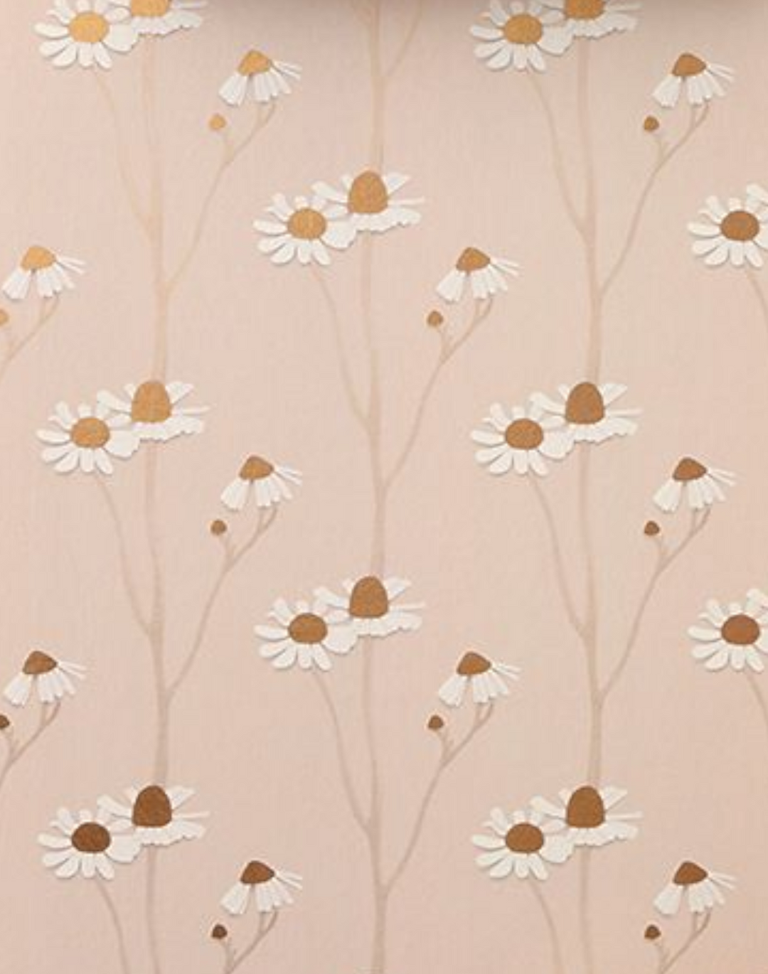 Chamomile, Powder Pink & Gold