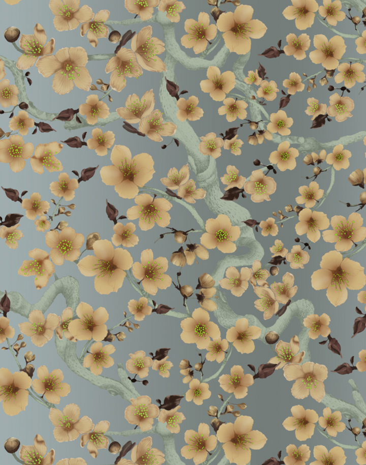 Cherry Blossom Floraison, Apricot on Sand