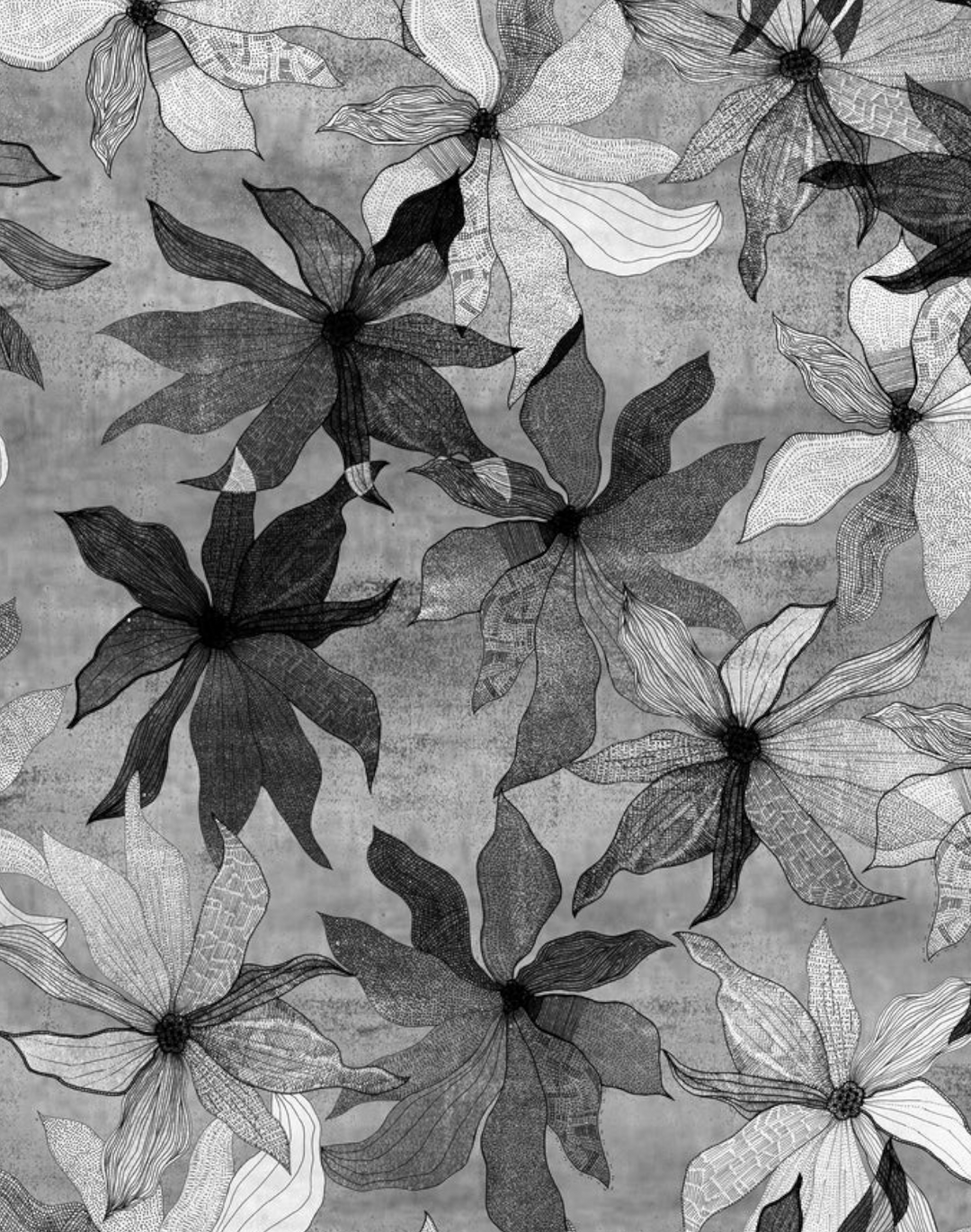 Clematis, Black and White