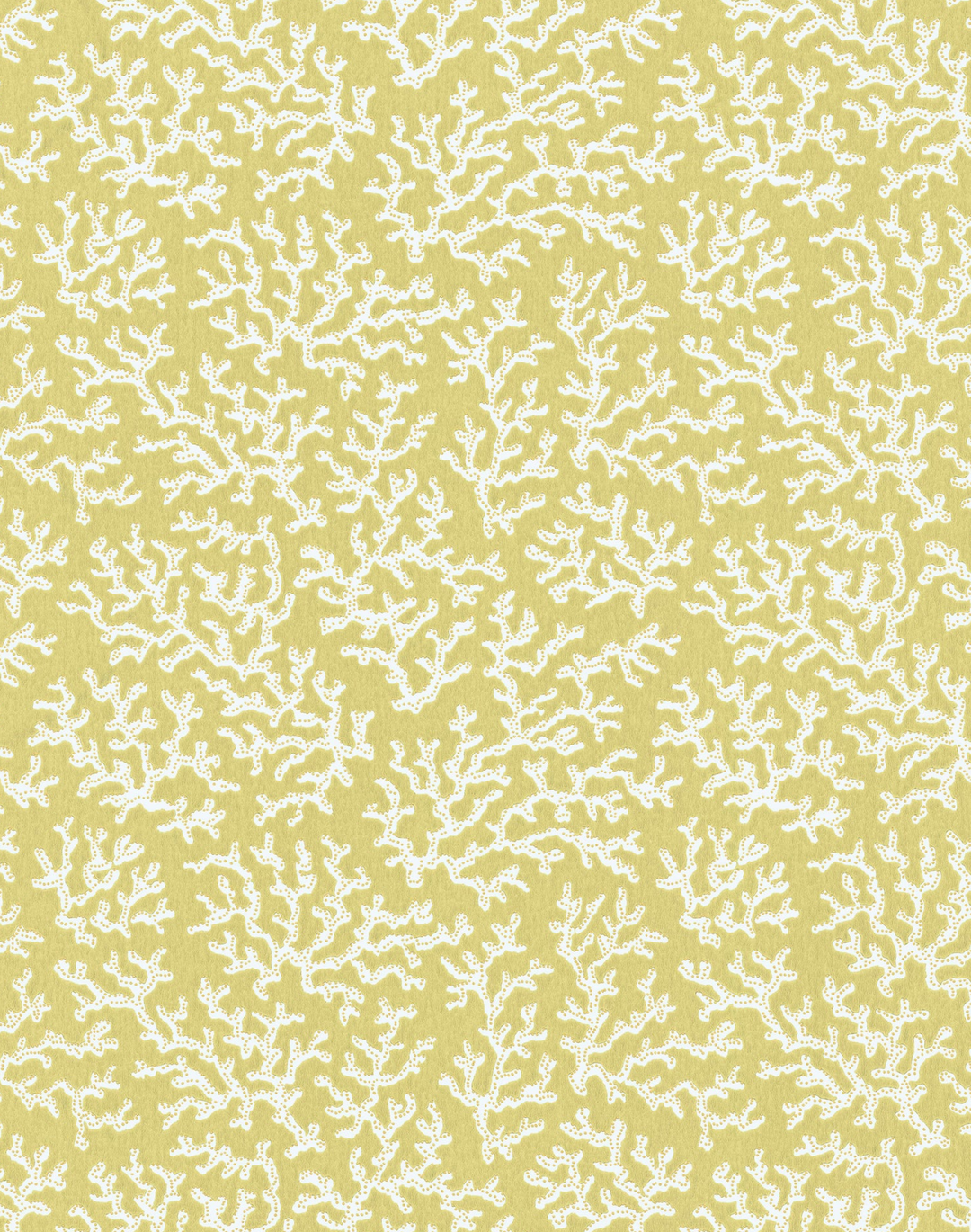 Coral, Dusky Lemon