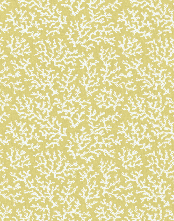 Coral, Dusky Lemon