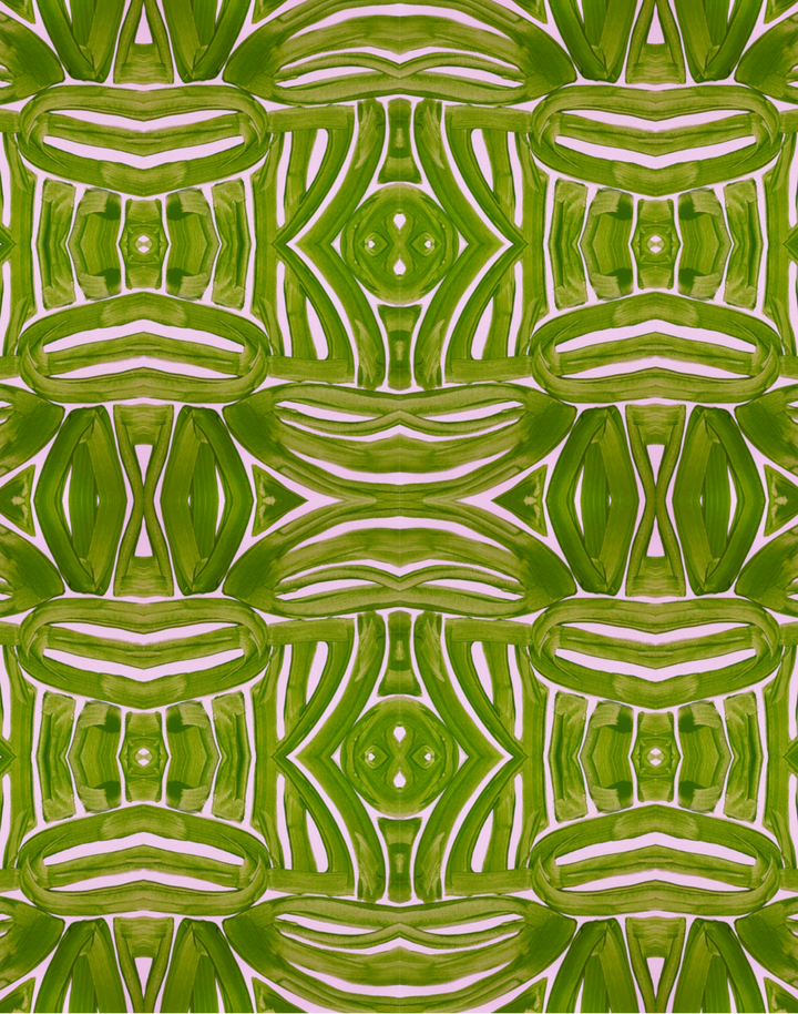 Caryota Pear