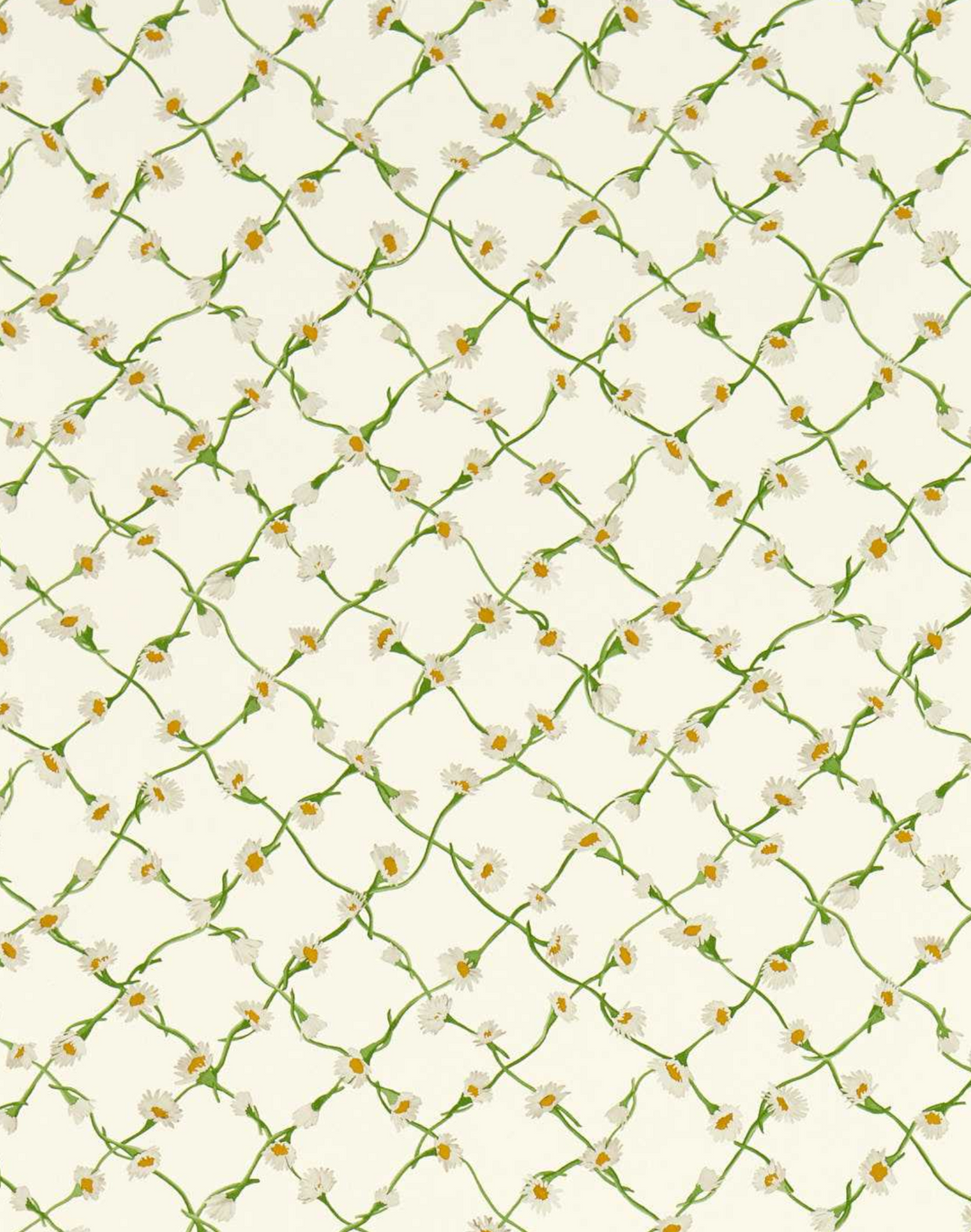 Daisy Trellis, Emerald Pearl