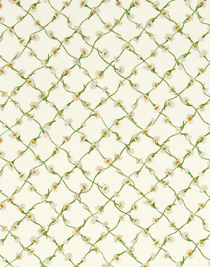 Daisy Trellis, Emerald Pearl