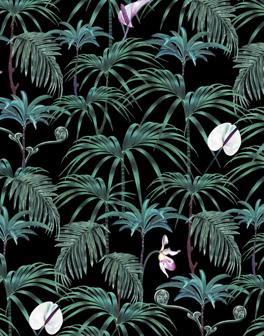 Elysian Palms, Black