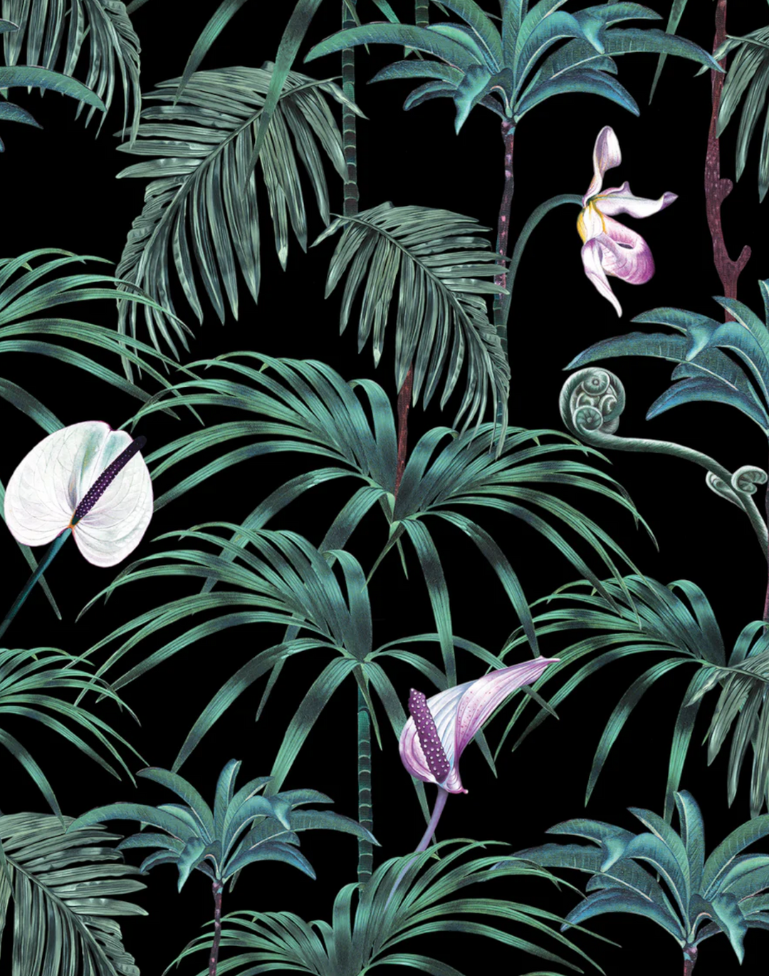 Elysian Palms, Black