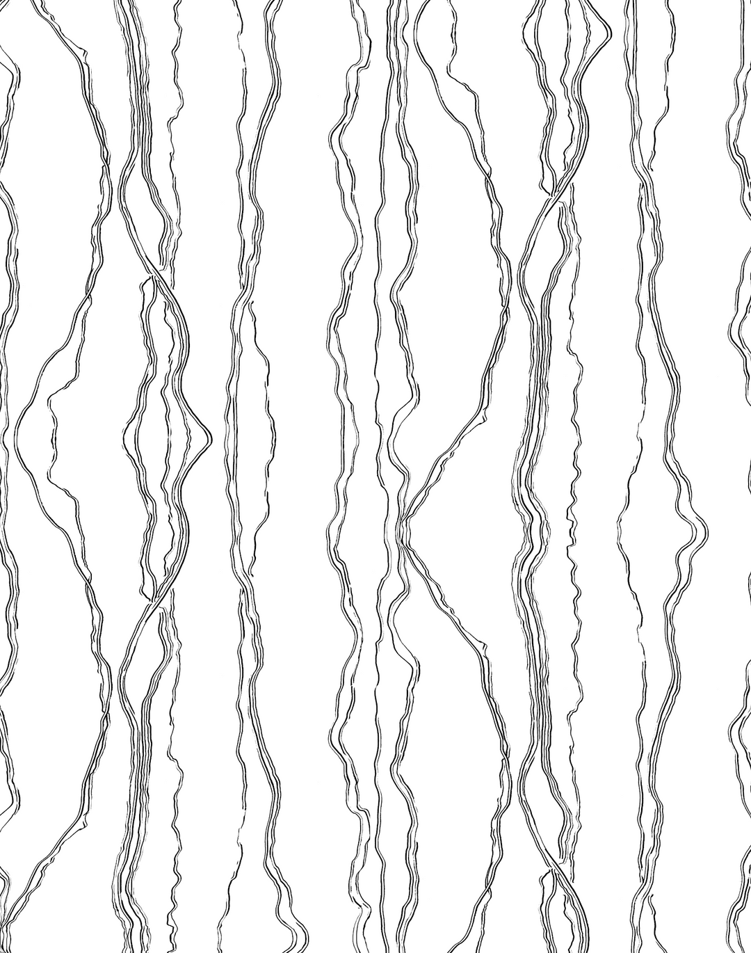 Fault Lines, Black