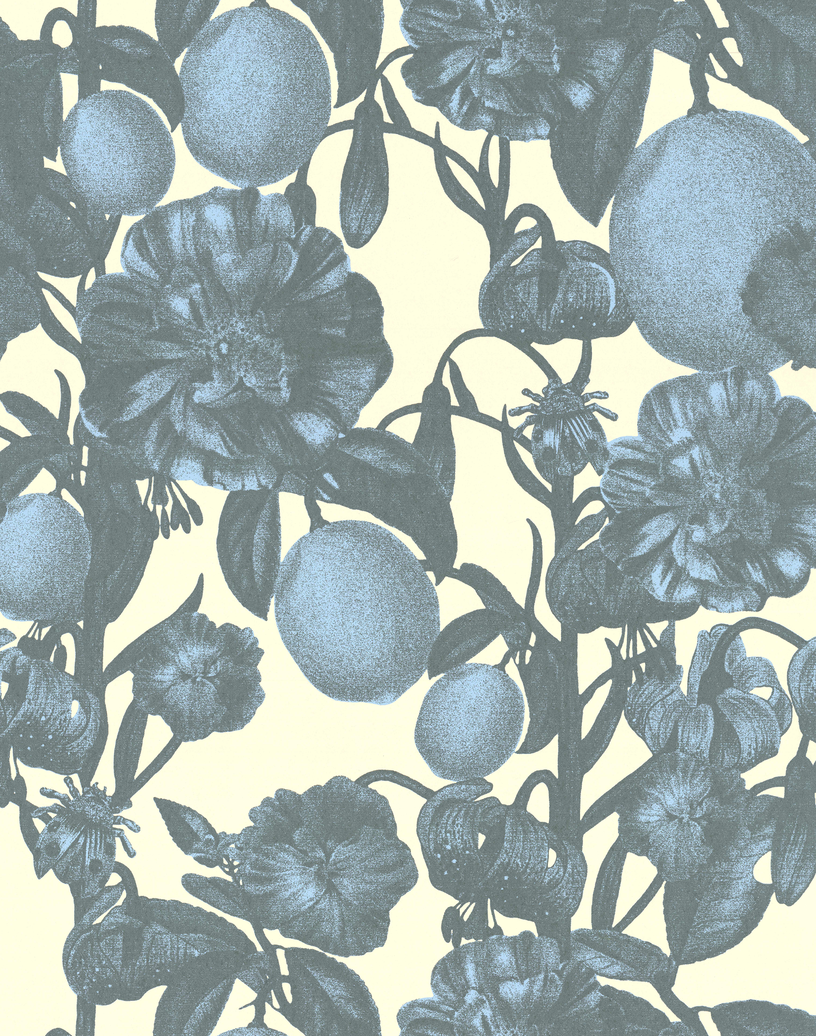 lisa bengtsson cibone THE CONRAN SHOP 薔薇 lisa bengtsson cibone THE CONRAN SHOP 薔薇 lisa bengtsson