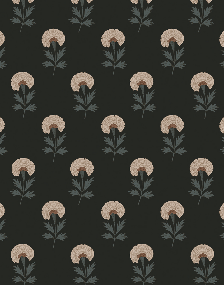 Floral Treasures, Hydro WPLN0046