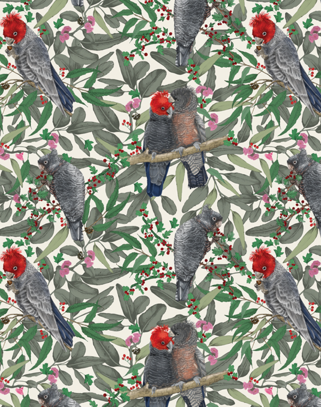 Gang Gang Cockatoo, Red on Worn White