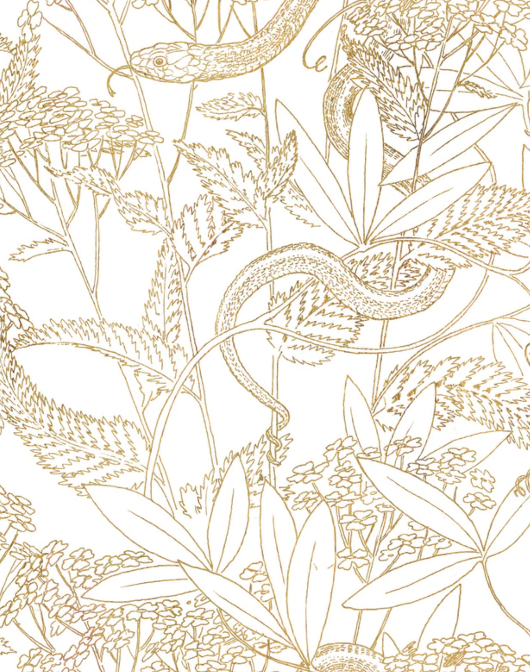 Garden Snake, Gold