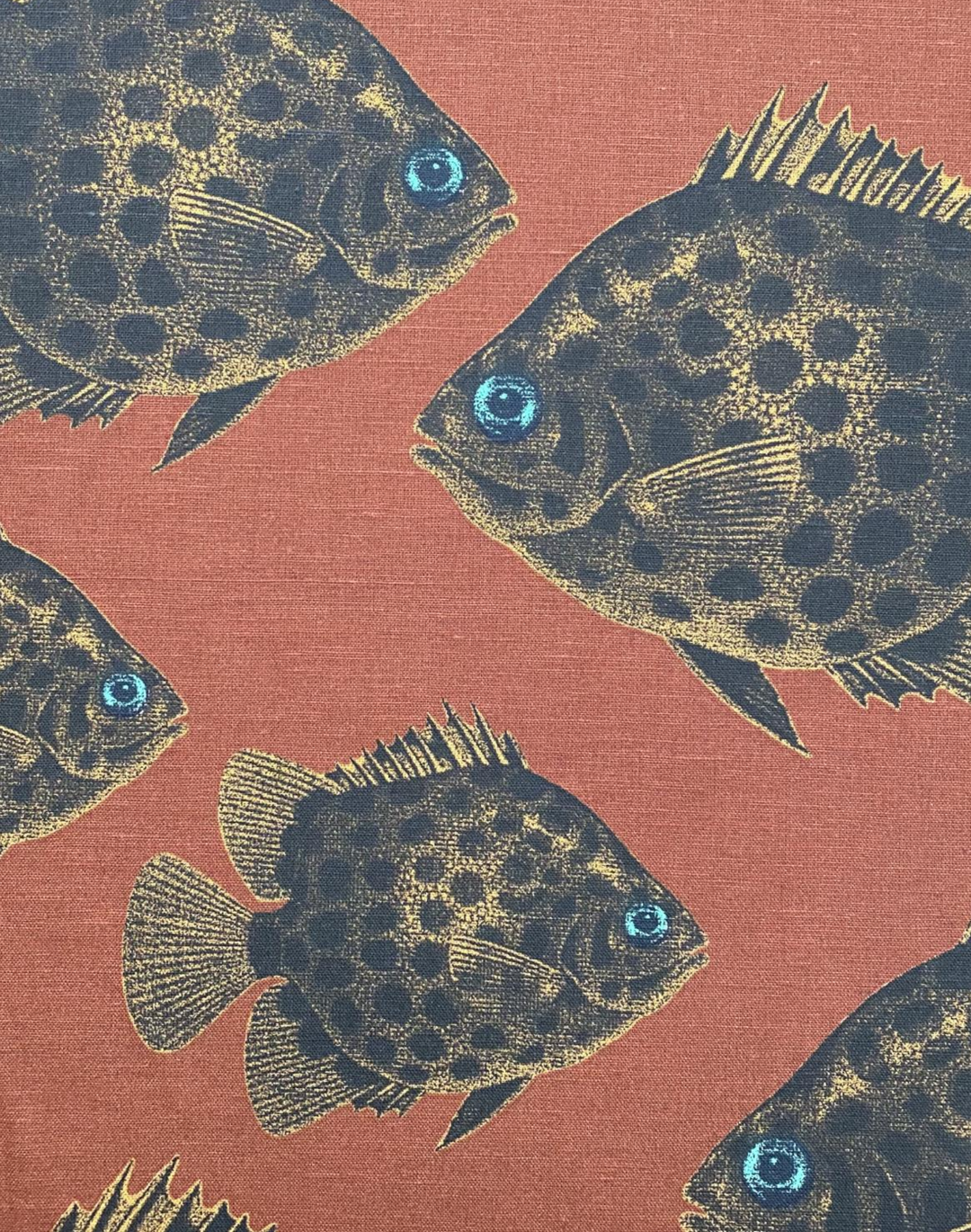 Hakan Fabric