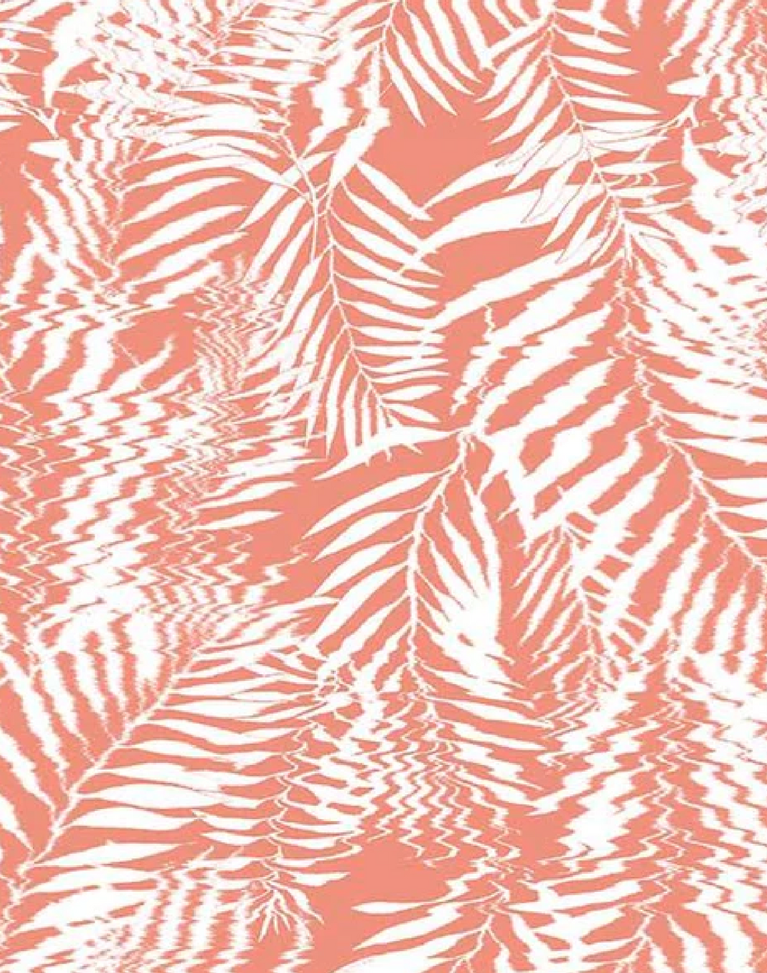 Hazy Palm, Coral