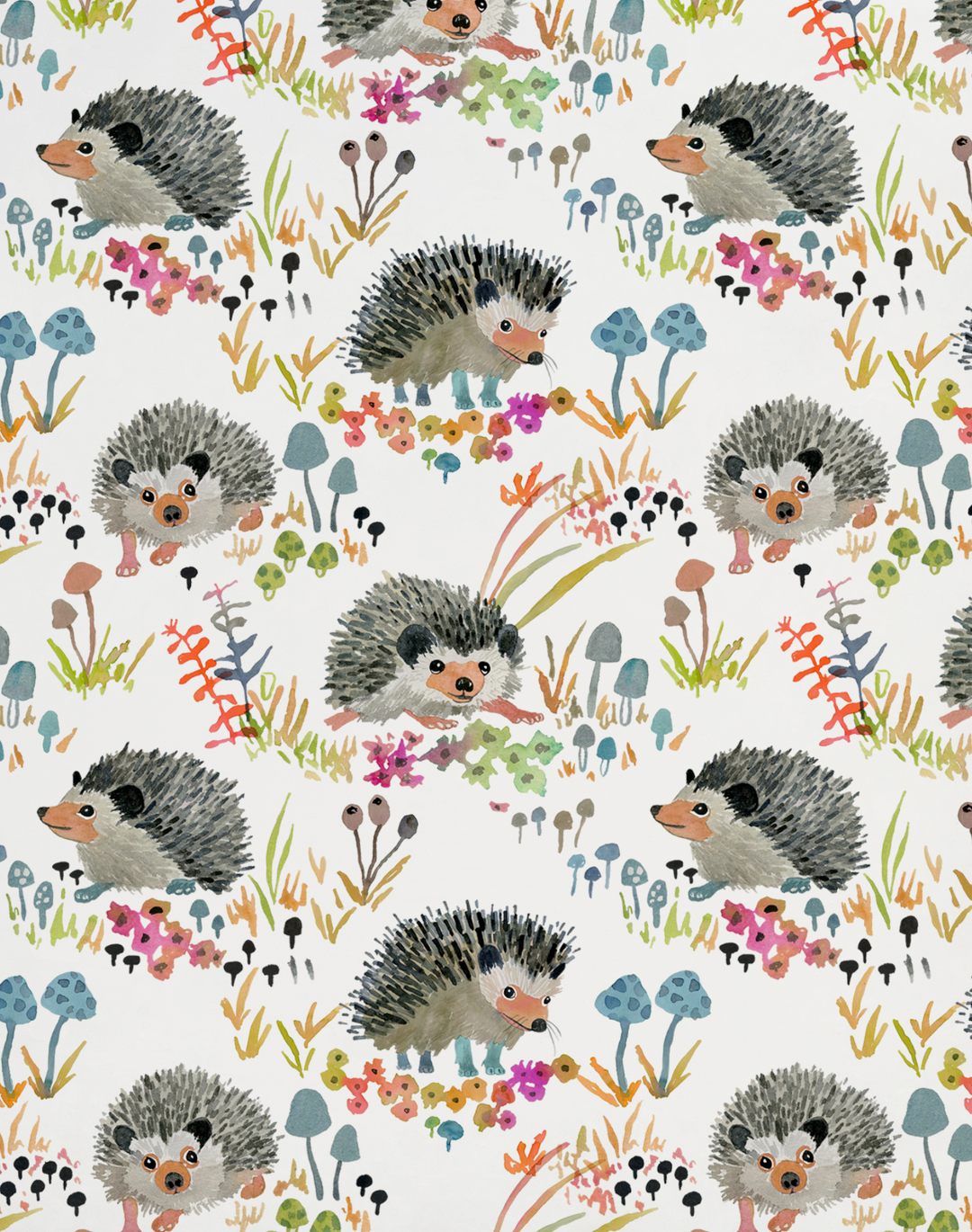 Hedgehogs, White