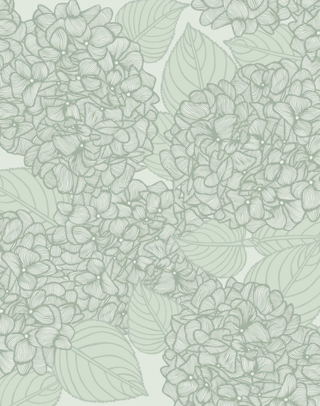 Hydra Bloom, Sage