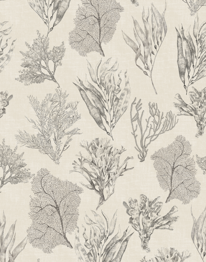 Kelp Forest, Parchment Cream