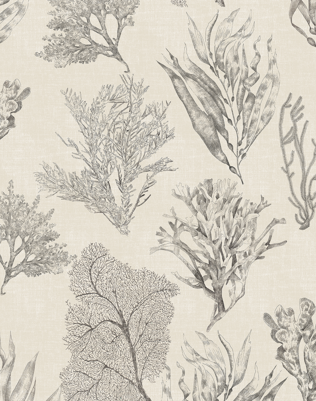 Kelp Forest, Parchment Cream