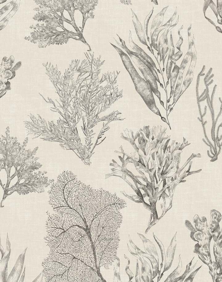 Kelp Forest, Parchment Cream