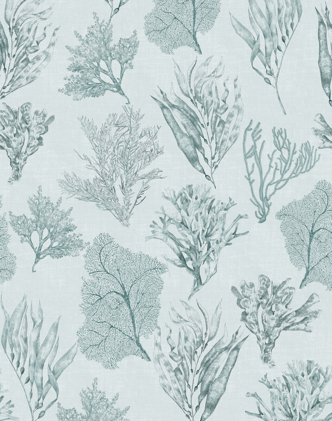 Kelp Forest, Sea Clay Grey
