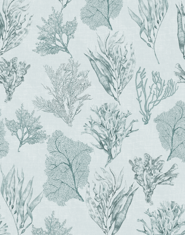 Kelp Forest, Sea Clay Grey