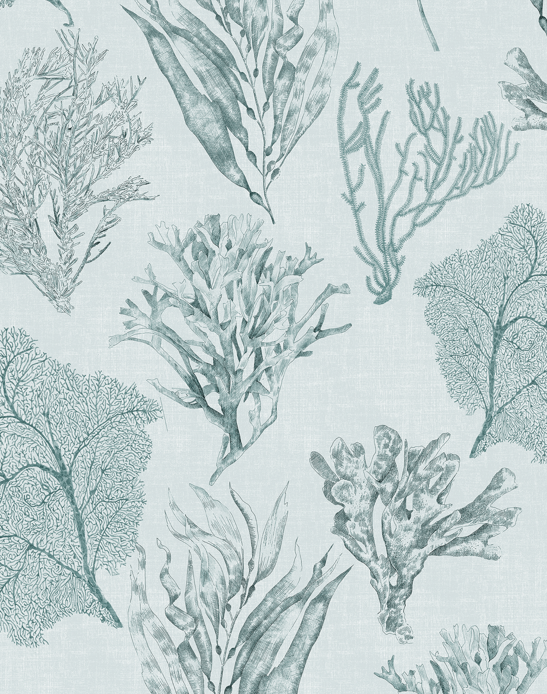 Kelp Forest, Sea Clay Grey