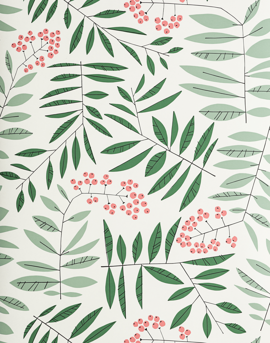 Leaf Berry, Rosefinch