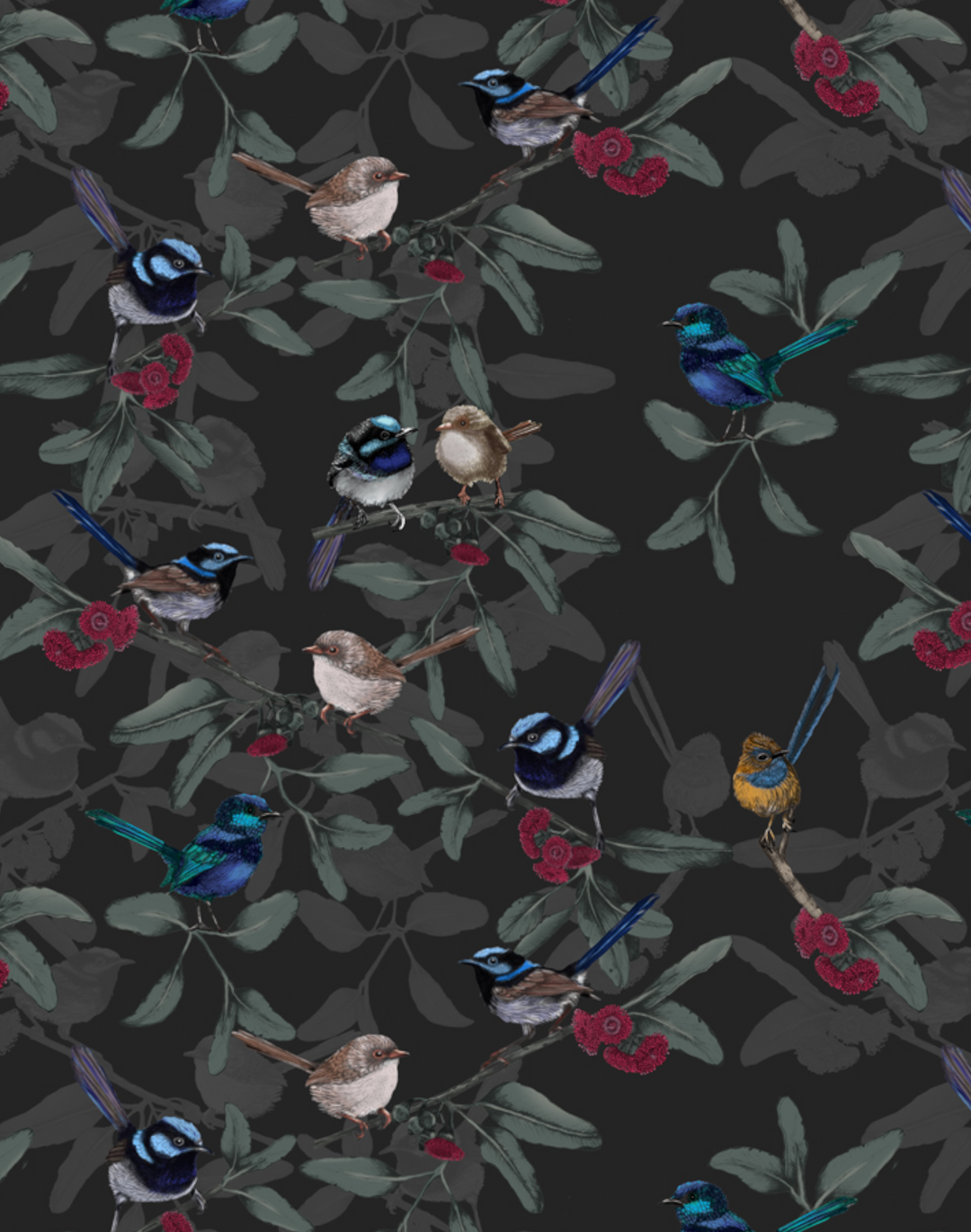 Little Wrens, Black