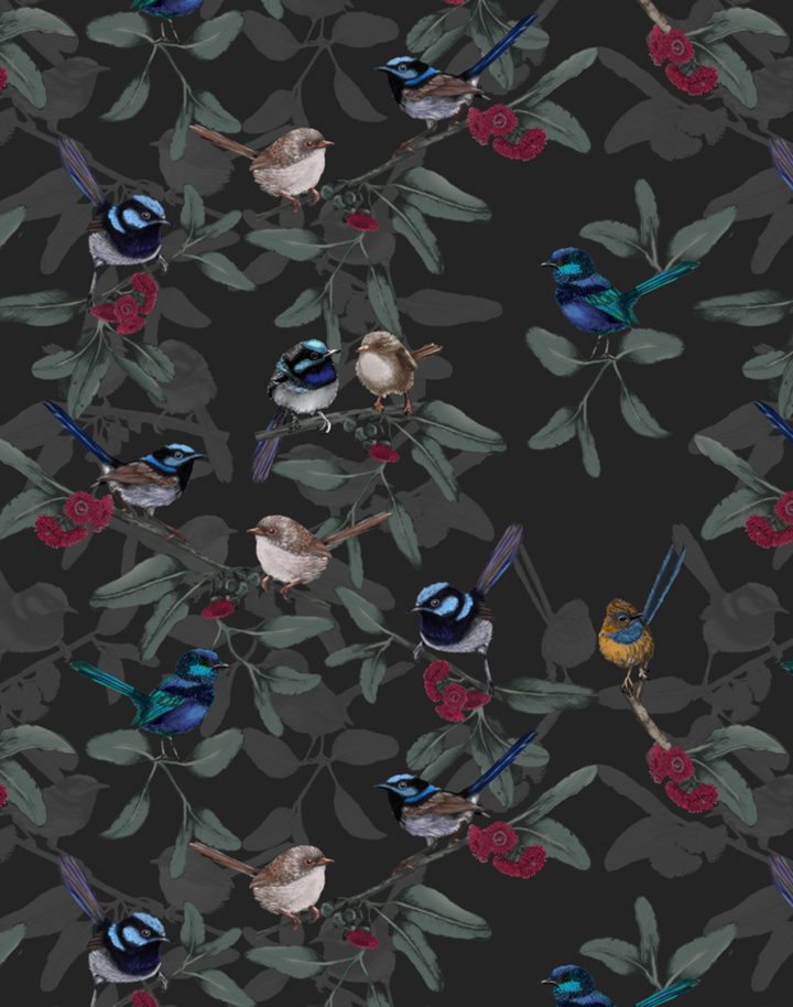 Little Wrens, Black