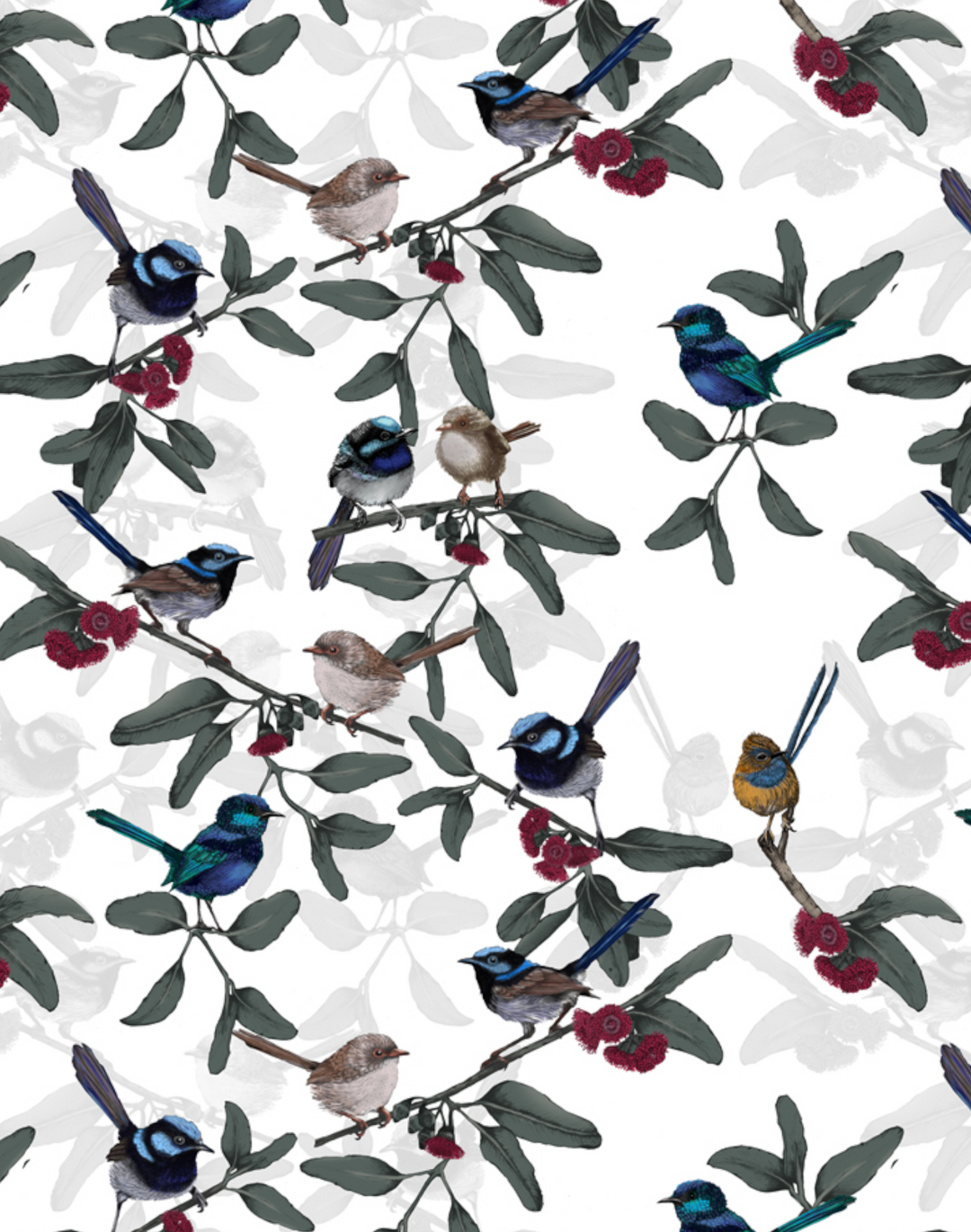 Little Wrens, White