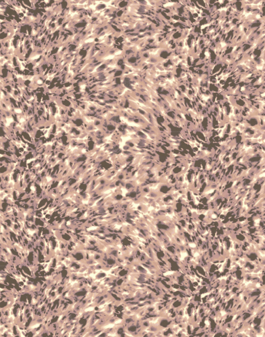 Lonesome George, Blossom