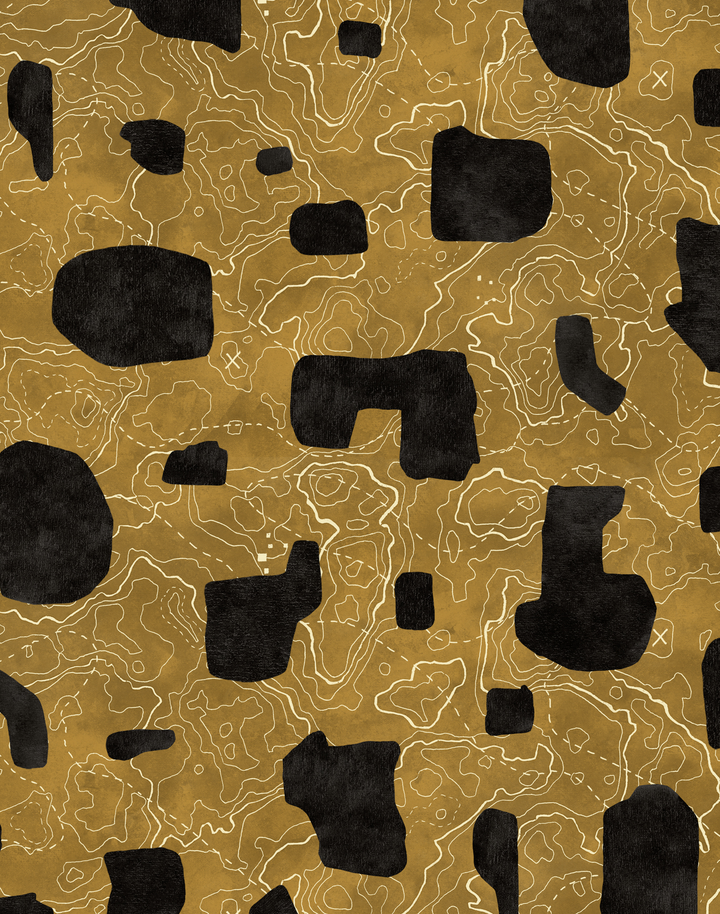 Map Xylography Black PL5003-3