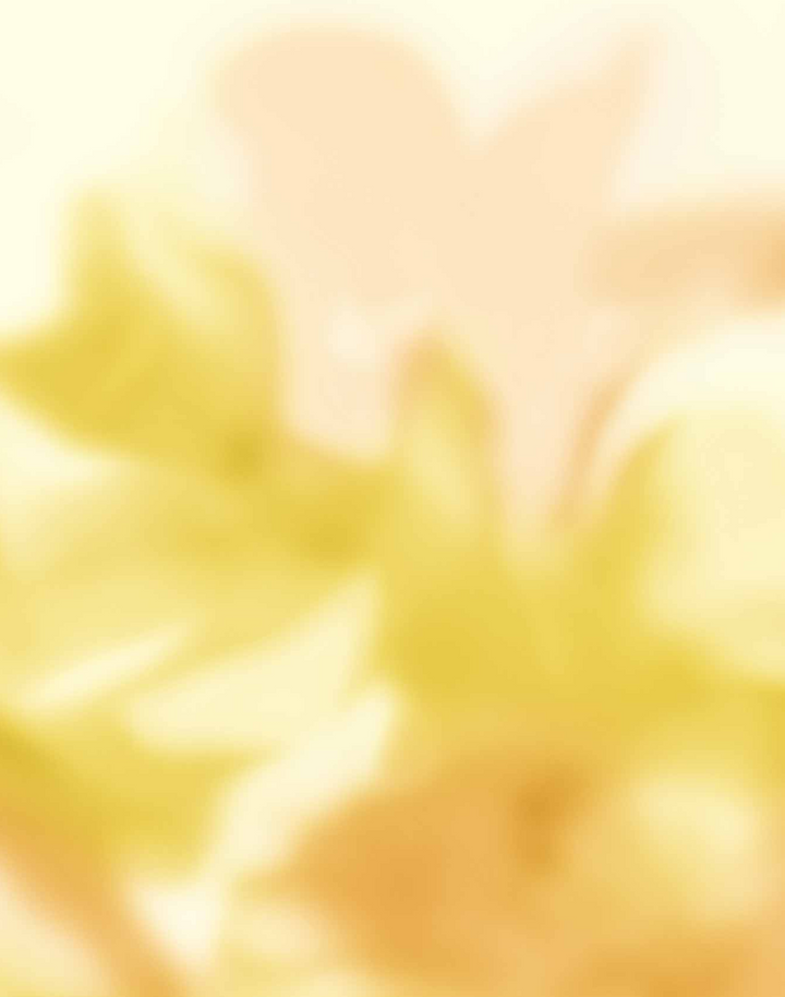 Maravillas, Golden C00144N