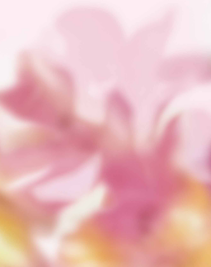 Maravillas, Pink C00143N