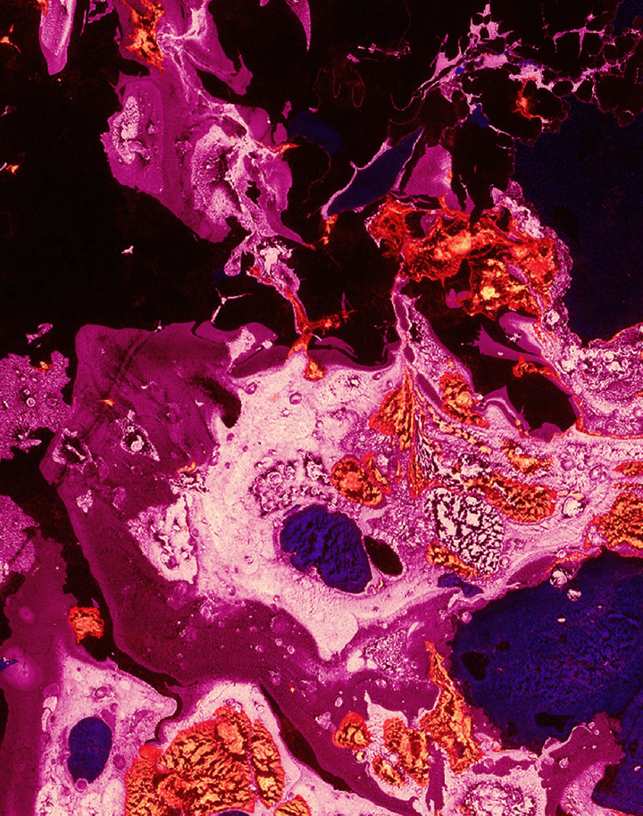 Marbre, Magenta