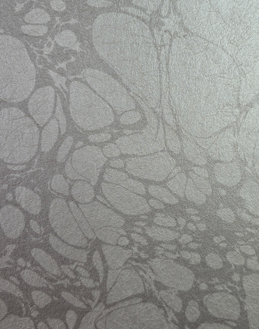 Mouchete, Silver Ghost