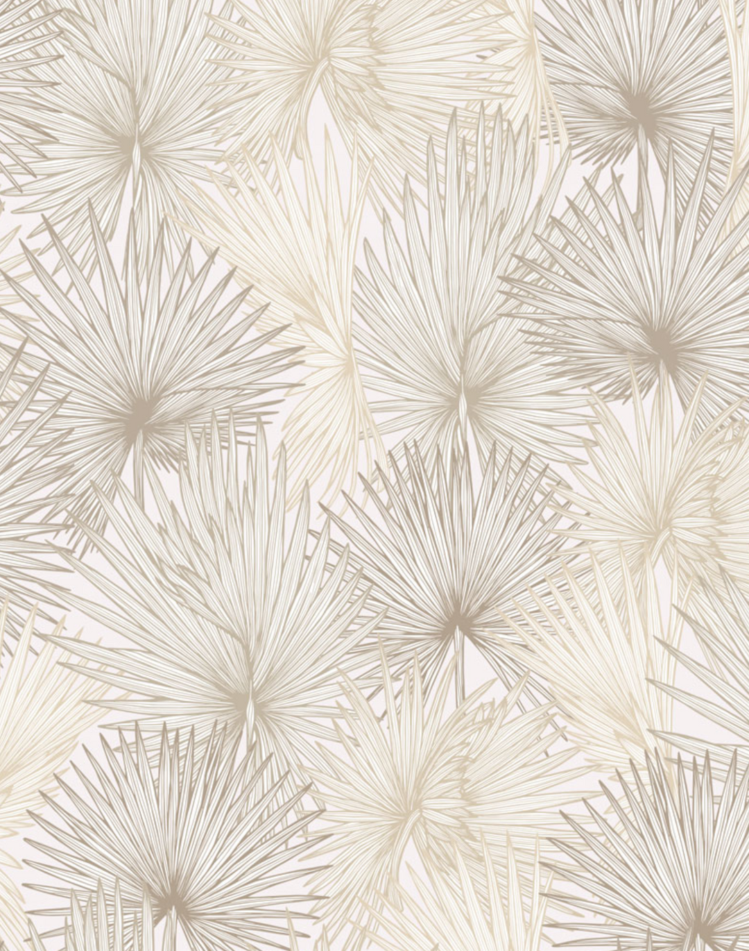 Nobilis Palm, Sunlit
