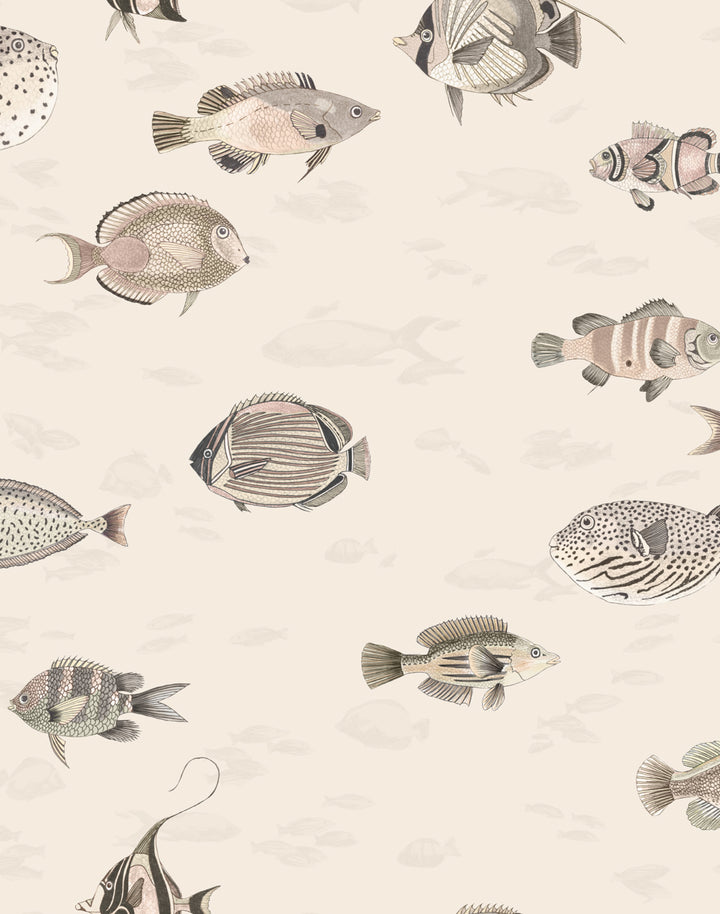 Oceana MAC059