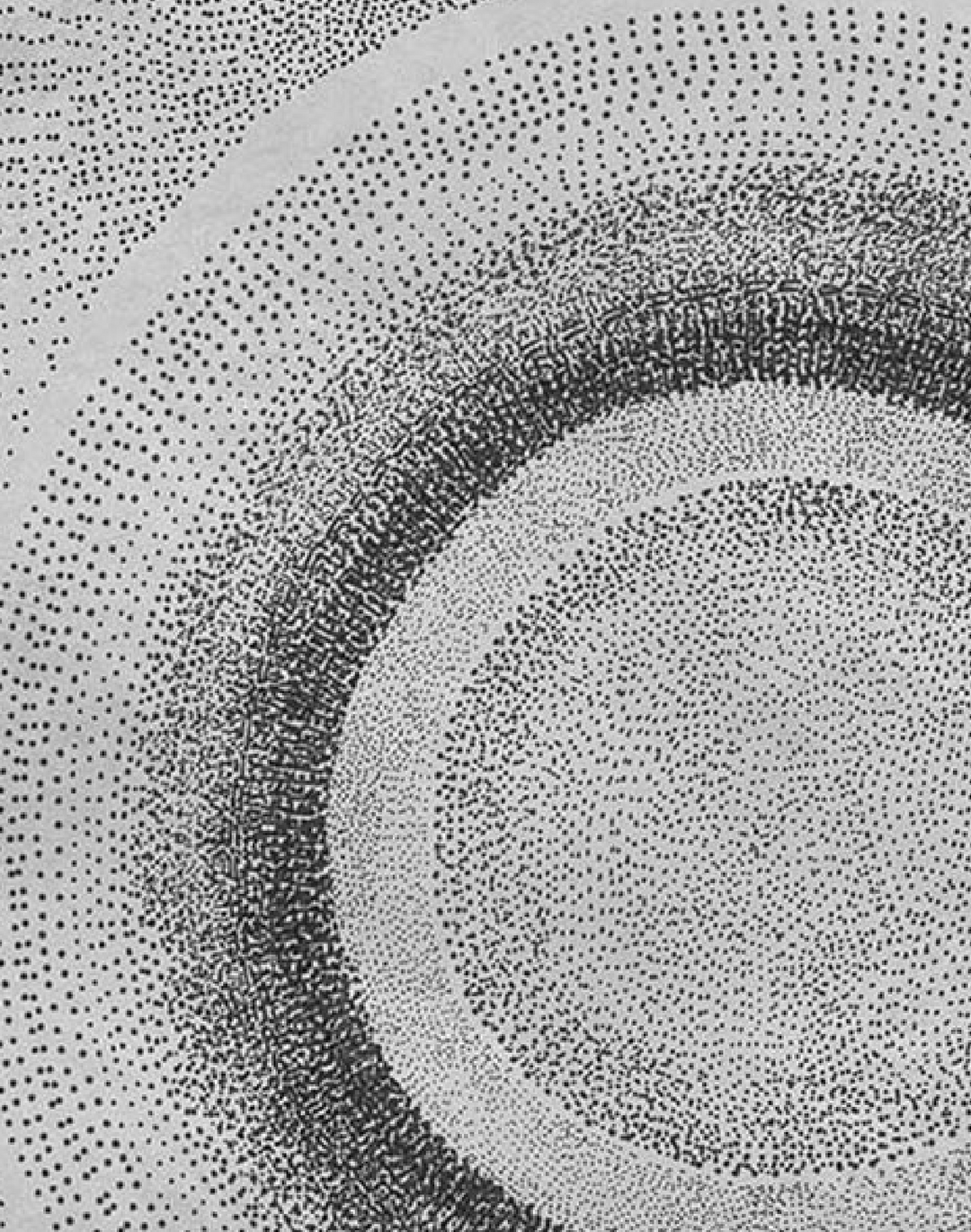 Orb, Sandstone