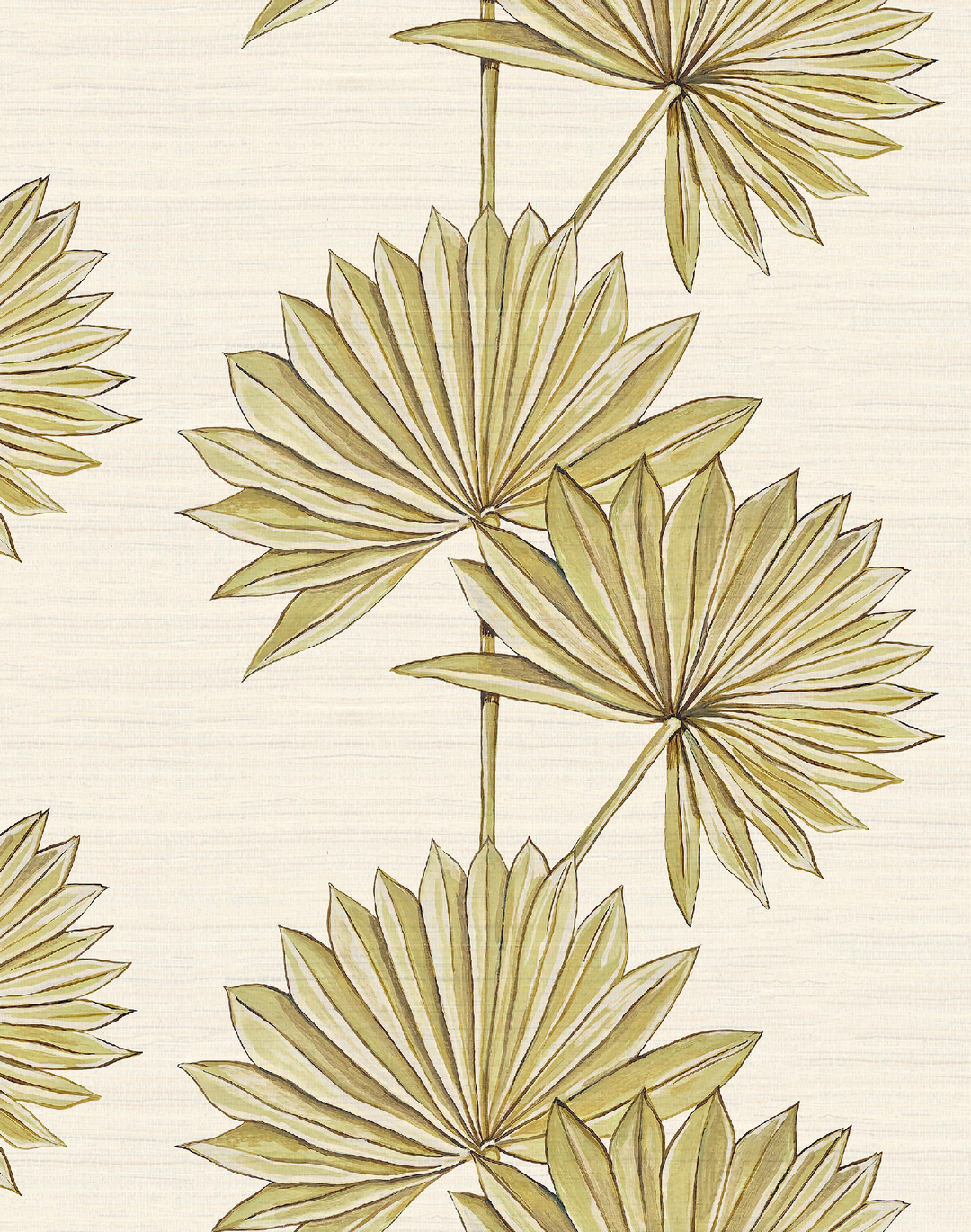 Palmetto, Blanca